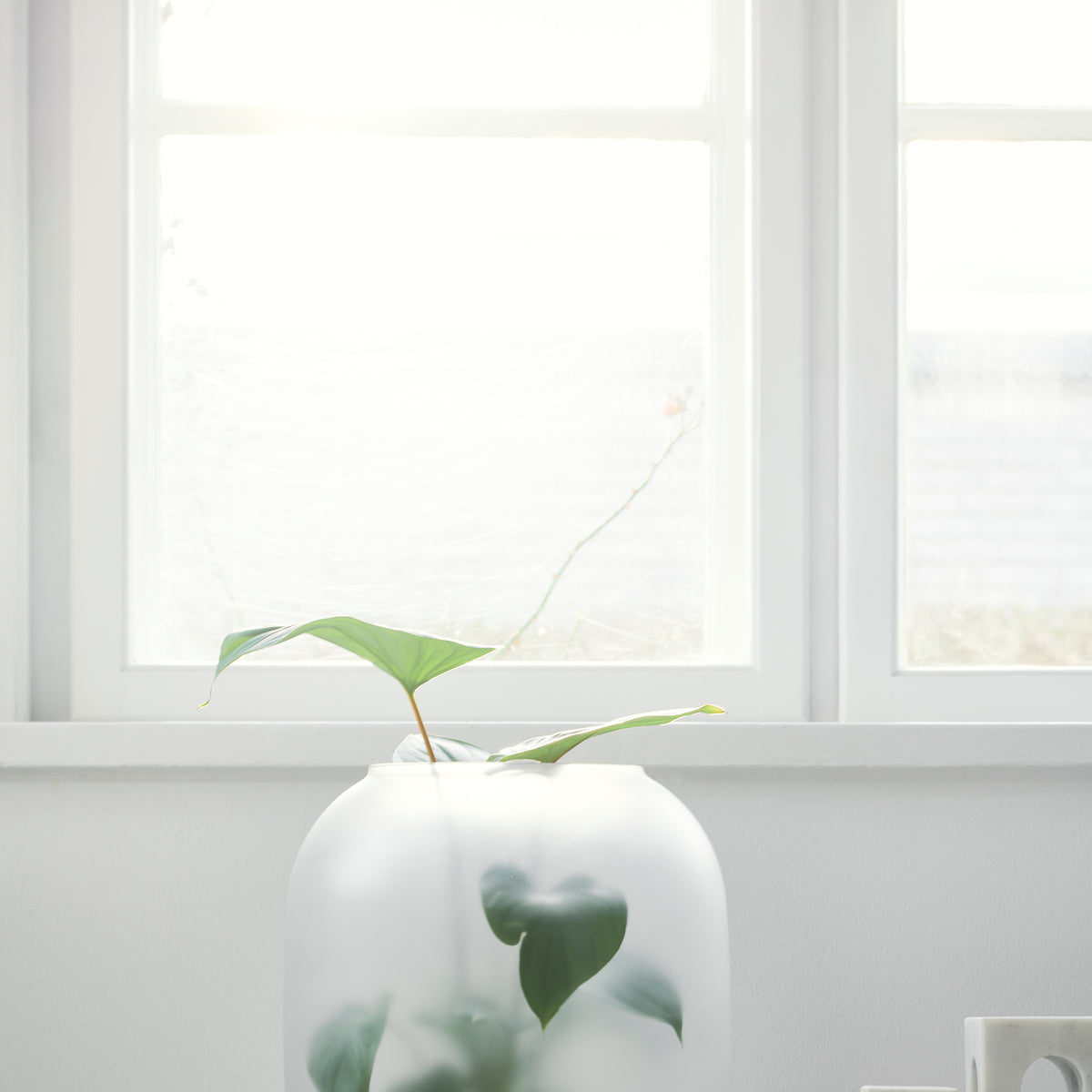 NEBL Blumentopf Groß Grau