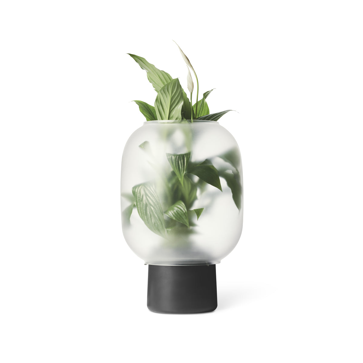 NEBL Blumentopf Groß Schwarz